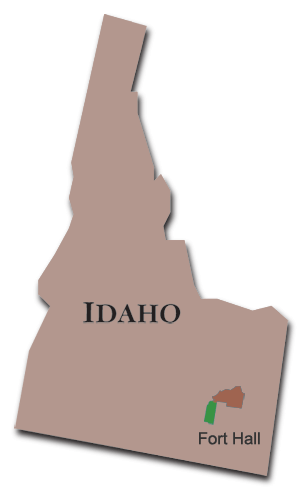 Reservation: Fort Hall - Idaho