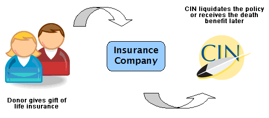 CIN Insurance Process