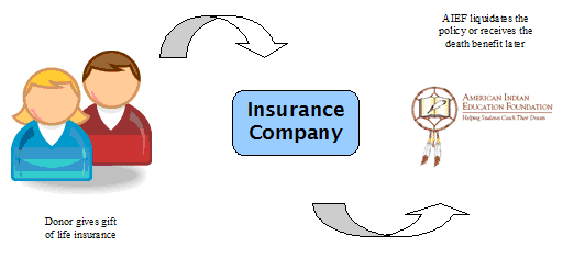 AIEF Insurance Process