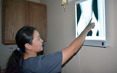 A photo of Dr. Holgate going over an x-ray