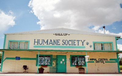 A photo of the McKinley County Humane Society building in Gallup, New Mexico