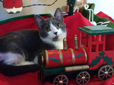 Photo of Noelle under the Christmas tree with a toy train