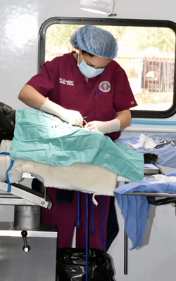 Photo of Dr. Kreisler performing surgery