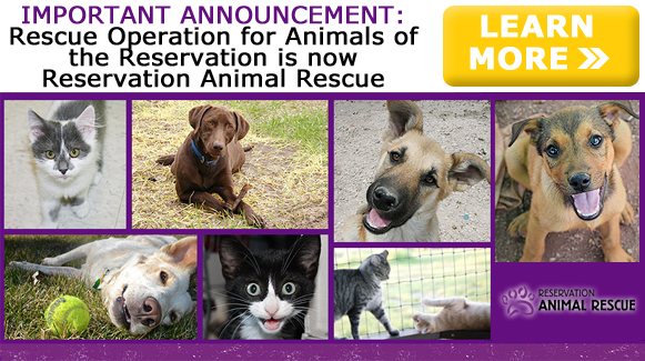 Rescue Operation for Animals of the Reservation is now Reservation Animal Rescue!