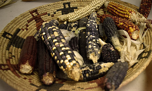 Photo of Basket of corn