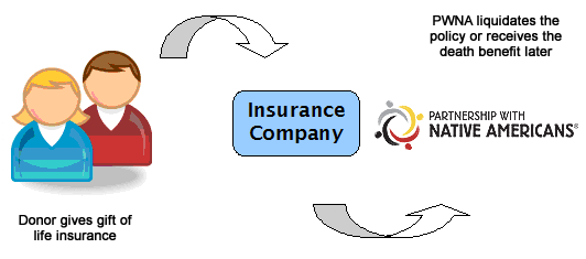 pwna Insurance Process