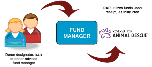 rar Donor-Advised Funds Process