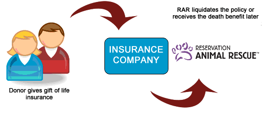 rar Insurance Process